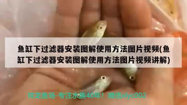 伊罕濾桶水流越來(lái)越小：伊罕過(guò)濾桶出水口位置