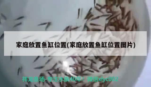 家庭放置魚缸位置(家庭放置魚缸位置圖片) 翡翠鳳凰魚