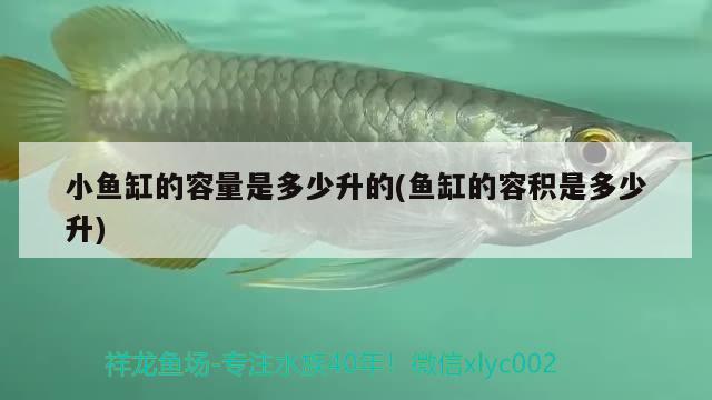 小魚缸的容量是多少升的(魚缸的容積是多少升) 翡翠鳳凰魚