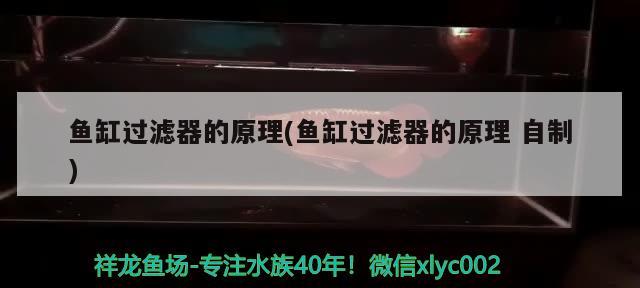 小魚缸怎么組裝視頻：小魚缸怎么組裝視頻講解