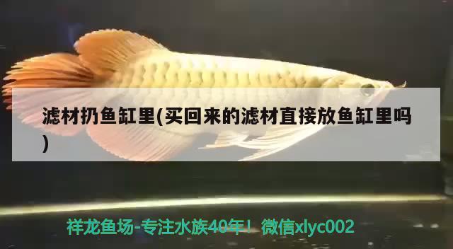 濾材扔魚缸里(買回來(lái)的濾材直接放魚缸里嗎)