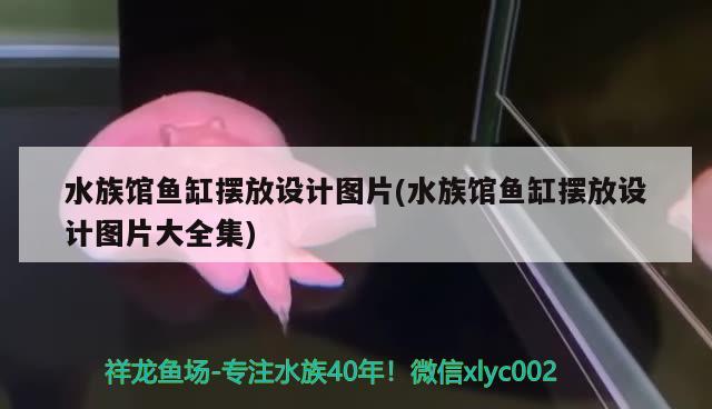 魚缸排水口位置高好嗎視頻講解魚缸排水口位置高好嗎，視頻講解魚缸排水口位置的重要性 泰國(guó)斗魚 第3張