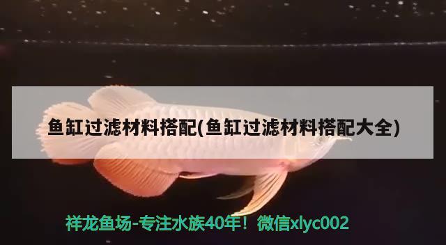 魚缸過濾材料搭配(魚缸過濾材料搭配大全) 月光鴨嘴魚