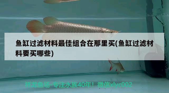 魚缸過濾材料最佳組合在那里買(魚缸過濾材料要買哪些) ?；?異型虎魚/純色虎魚