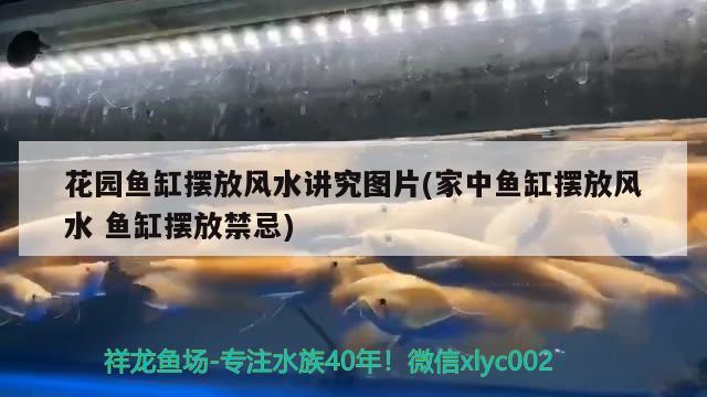 花園魚缸擺放風(fēng)水講究圖片(家中魚缸擺放風(fēng)水魚缸擺放禁忌) 魚缸風(fēng)水 第2張