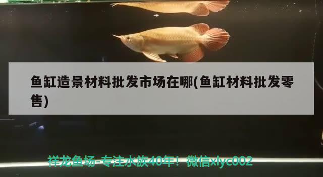 魚缸造景材料批發(fā)市場(chǎng)在哪(魚缸材料批發(fā)零售) 三色錦鯉魚