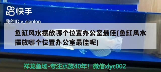 魚缸風水擺放哪個位置辦公室最佳(魚缸風水擺放哪個位置辦公室最佳呢) 魚缸風水