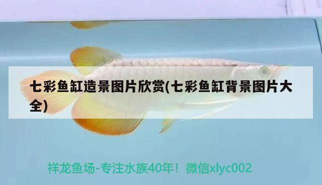 七彩魚缸造景圖片欣賞(七彩魚缸背景圖片大全) 蝴蝶鯉魚苗