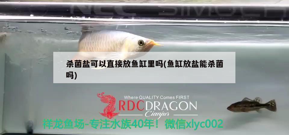 殺菌鹽可以直接放魚缸里嗎(魚缸放鹽能殺菌嗎) 斑馬鴨嘴魚