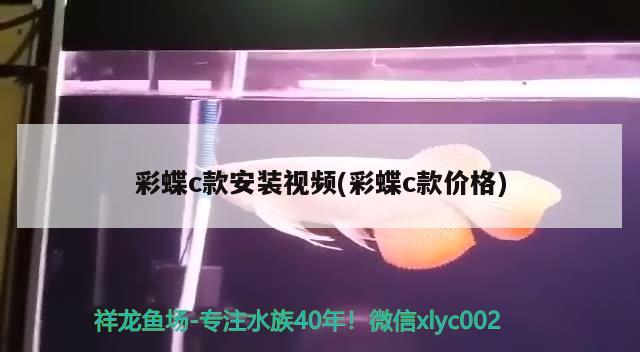 彩蝶c款安裝視頻(彩蝶c款價格) 廣州水族批發(fā)市場