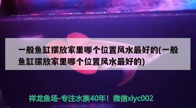 一般魚缸擺放家里哪個(gè)位置風(fēng)水最好的(一般魚缸擺放家里哪個(gè)位置風(fēng)水最好的) 魚缸風(fēng)水