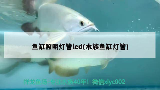 魚缸照明燈管led(水族魚缸燈管)