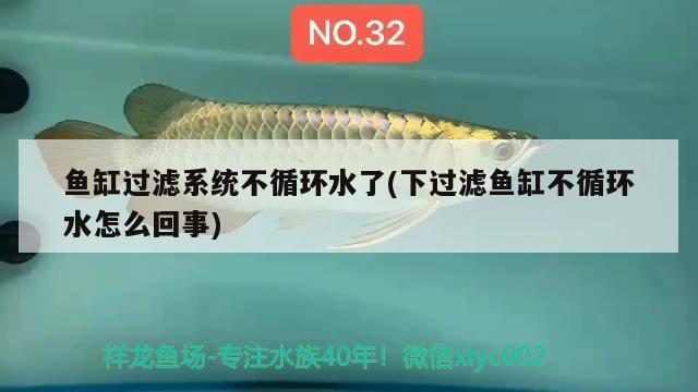 魚(yú)缸過(guò)濾系統(tǒng)不循環(huán)水了(下過(guò)濾魚(yú)缸不循環(huán)水怎么回事) 龍鳳鯉魚(yú)