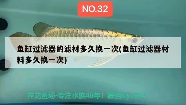 魚缸過濾器的濾材多久換一次(魚缸過濾器材料多久換一次)