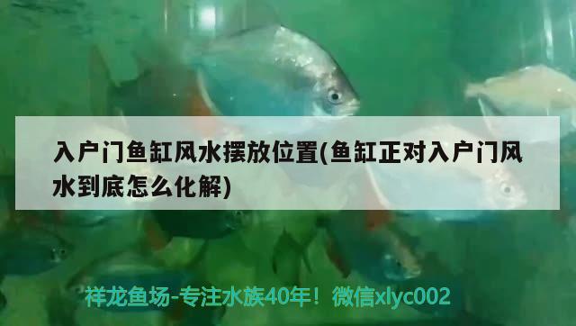 入戶門魚缸風(fēng)水?dāng)[放位置(魚缸正對(duì)入戶門風(fēng)水到底怎么化解) 魚缸風(fēng)水