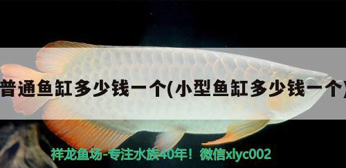 普通魚缸多少錢一個(gè)(小型魚缸多少錢一個(gè)) 養(yǎng)魚知識(shí)