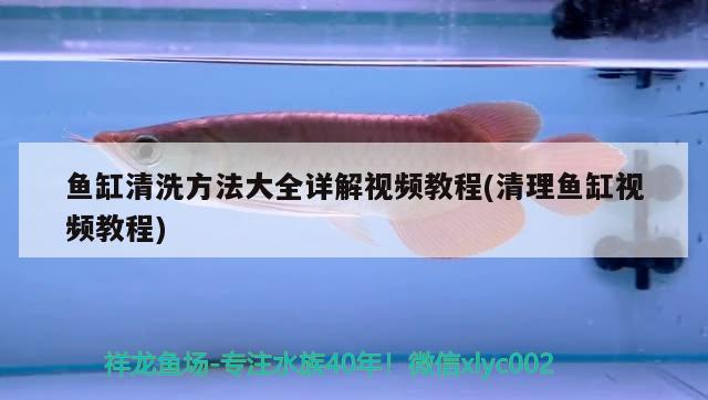 魚缸過濾器吸沙(魚缸過濾吸沙子) 魚缸/水族箱