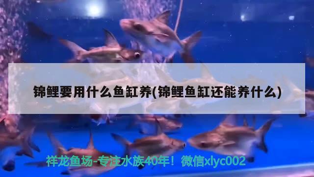 臨沂賣魚的批發(fā)市場(臨沂批發(fā)魚的地方在哪)