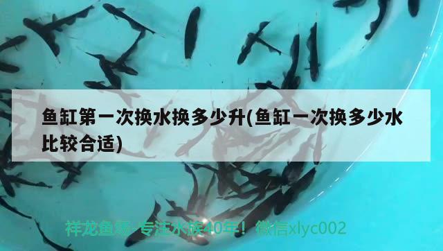 魚缸第一次換水換多少升(魚缸一次換多少水比較合適)