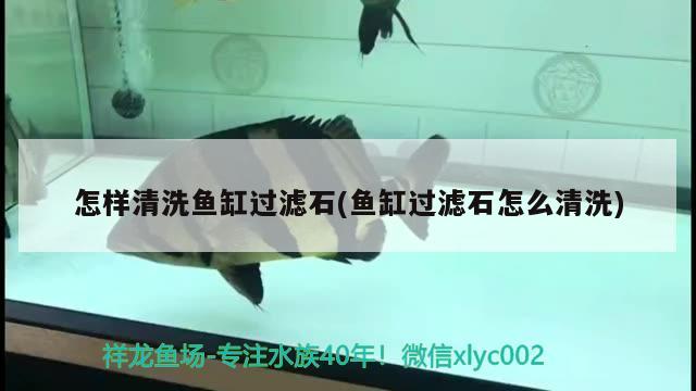 怎樣清洗魚缸過濾石(魚缸過濾石怎么清洗)