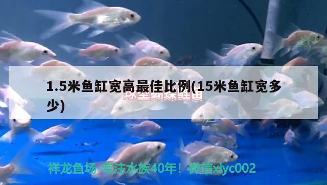 1.5米魚(yú)缸寬高最佳比例(15米魚(yú)缸寬多少)