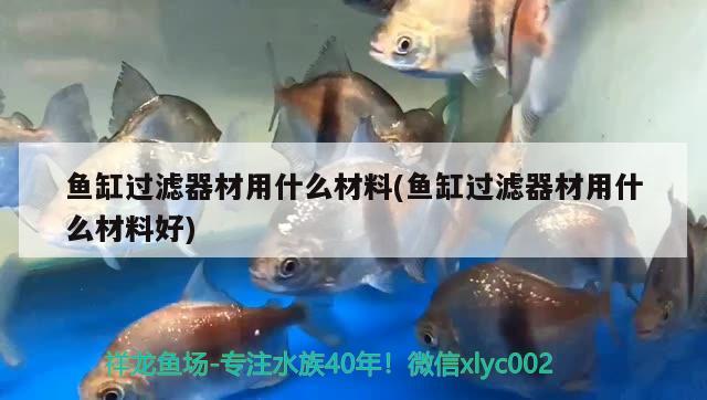 魚缸過濾器材用什么材料(魚缸過濾器材用什么材料好) 狗仔招財貓魚