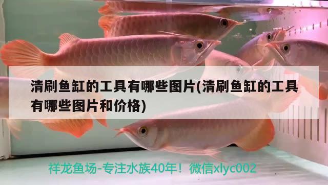 魚缸安裝完整視頻教程全集圖片（天誠(chéng)水族魚缸r320怎么安裝） 白子黃化銀龍魚 第1張