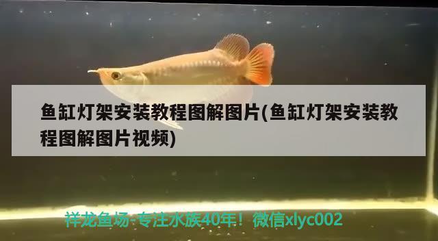 旺隆魚缸是牌子嗎圖片大全（旺隆水族魚缸柜組裝圖） 廣州觀賞魚批發(fā)市場