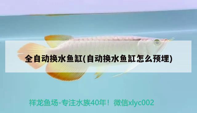 呼和浩特修魚缸的電話號碼（您好，水龍頭被貓弄開導(dǎo)致水流到木制地板滲） 泰國斗魚 第1張