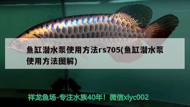 魚缸潛水泵使用方法rs705(魚缸潛水泵使用方法圖解) 龍魚百科