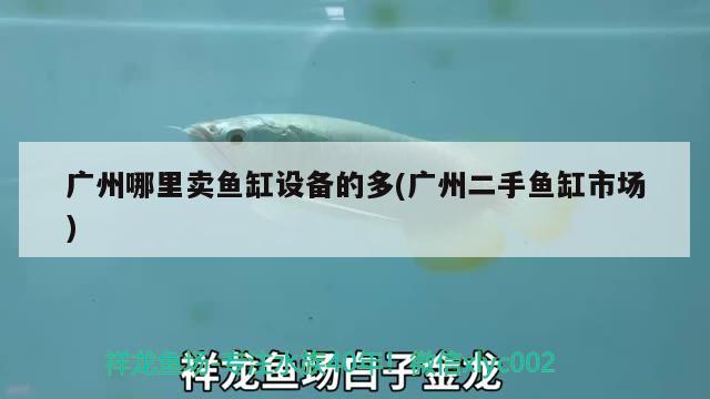 廣州哪里賣魚缸設(shè)備的多(廣州二手魚缸市場) 其它水族用具設(shè)備