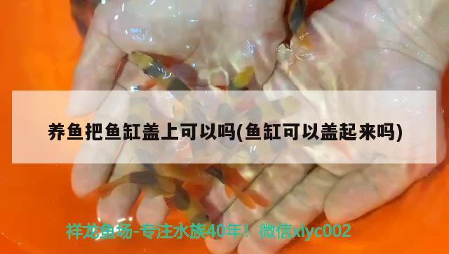 魚缸除藻用什么魚缸除藻用什么魚缸除藻用什么魚蝦，性情溫和的魚缸除藻用什么