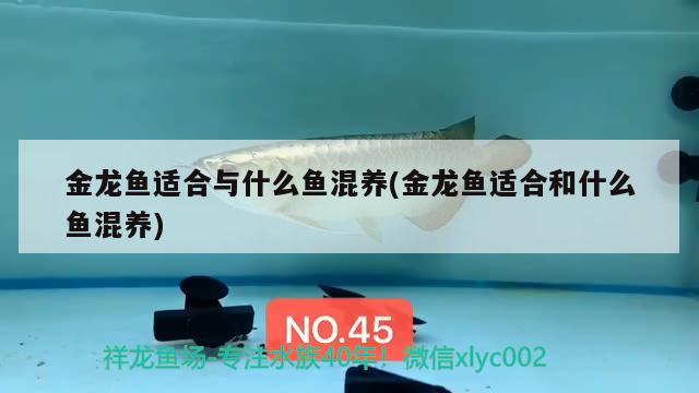 魚(yú)缸穩(wěn)定劑和硝化細(xì)菌區(qū)別(魚(yú)缸硝化細(xì)菌哪個(gè)好) 硝化細(xì)菌