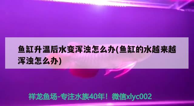 龍魚魚缸水質(zhì)為什么龍魚忽然趴缸了龍魚忽然趴缸了怎么回事，為什么龍魚忽然趴缸了，怎么回事？ 彩鰈魚缸（彩蝶魚缸） 第3張