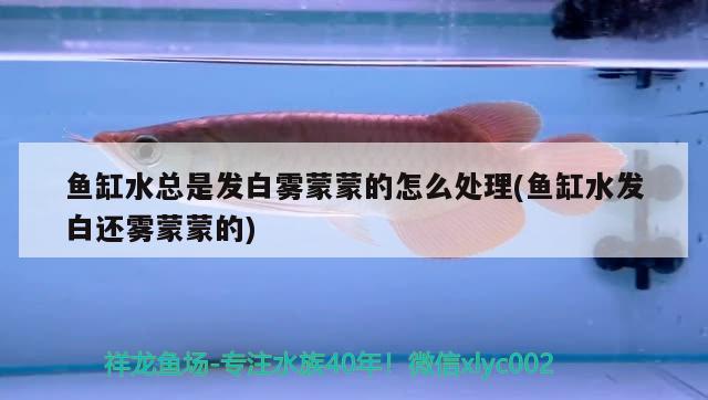 魚缸過濾桶漏水怎么辦（魚缸過濾桶出水口最佳位置） 其他品牌魚缸 第1張