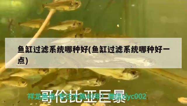 龍魚魚缸水質(zhì)為什么龍魚忽然趴缸了龍魚忽然趴缸了怎么回事，為什么龍魚忽然趴缸了，怎么回事？ 彩鰈魚缸（彩蝶魚缸） 第2張