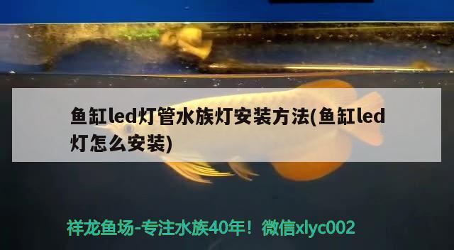 魚(yú)缸led燈管水族燈安裝方法(魚(yú)缸led燈怎么安裝)