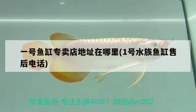 一號魚缸專賣店地址在哪里(1號水族魚缸售后電話) 雙線側魚