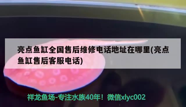 金華魚缸批發(fā)廠家直銷電話地址及電話多少號(hào) 金華魚缸批發(fā)廠家直銷電話地址及電話多少號(hào)碼