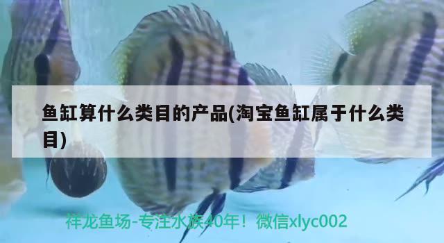 魚(yú)缸算什么類(lèi)目的產(chǎn)品(淘寶魚(yú)缸屬于什么類(lèi)目) 狗頭魚(yú)