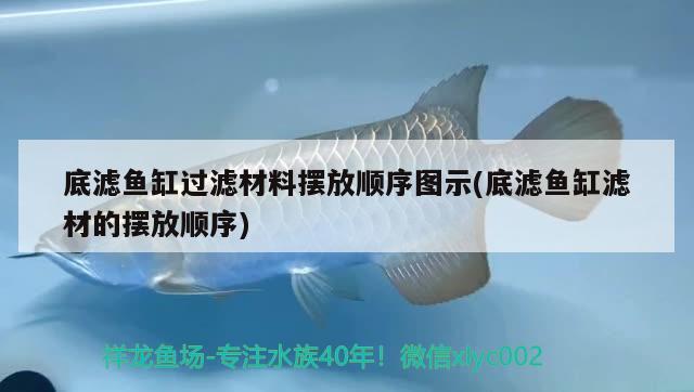 底濾魚缸過濾材料擺放順序圖示(底濾魚缸濾材的擺放順序)