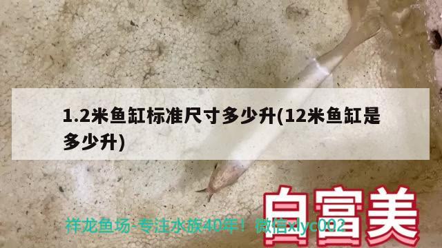 1.2米魚缸標(biāo)準(zhǔn)尺寸多少升(12米魚缸是多少升) 銀龍魚苗