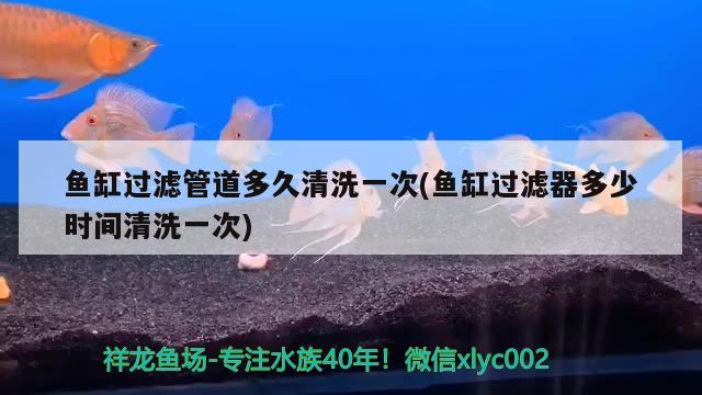 魚缸增氧泵如何安裝視頻(養(yǎng)魚增氧泵安裝視頻)