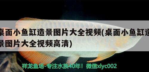 魚缸里有透明絲狀的東西是什么蟲（魚缸出現(xiàn)一條長長的印跡） iwish愛唯希品牌魚缸 第1張