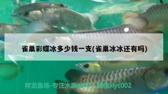 雀巢彩蝶冰多少錢一支(雀巢冰冰還有嗎) 黃金眼鏡蛇雷龍魚