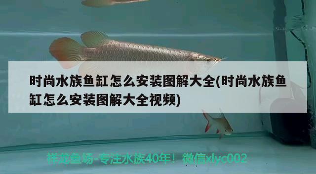 時(shí)尚水族魚缸怎么安裝圖解大全(時(shí)尚水族魚缸怎么安裝圖解大全視頻)