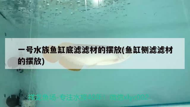 一號(hào)水族魚缸底濾濾材的擺放(魚缸側(cè)濾濾材的擺放) 哥倫比亞巨暴魚苗