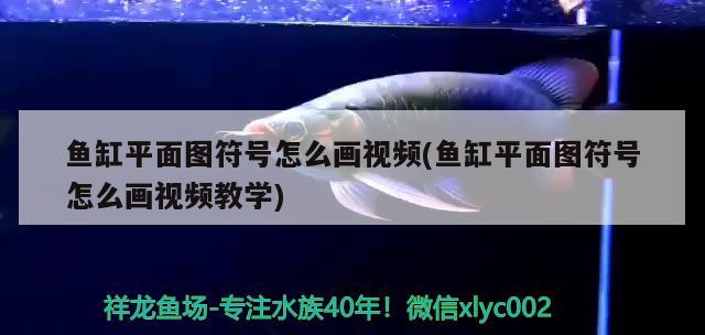 魚(yú)缸平面圖符號(hào)怎么畫(huà)視頻(魚(yú)缸平面圖符號(hào)怎么畫(huà)視頻教學(xué)) 肥料