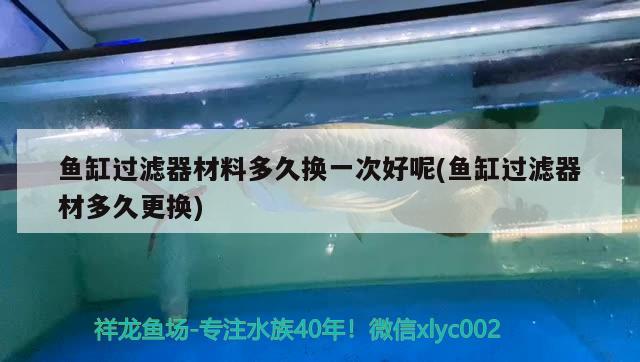 魚(yú)缸過(guò)濾器材料多久換一次好呢(魚(yú)缸過(guò)濾器材多久更換)