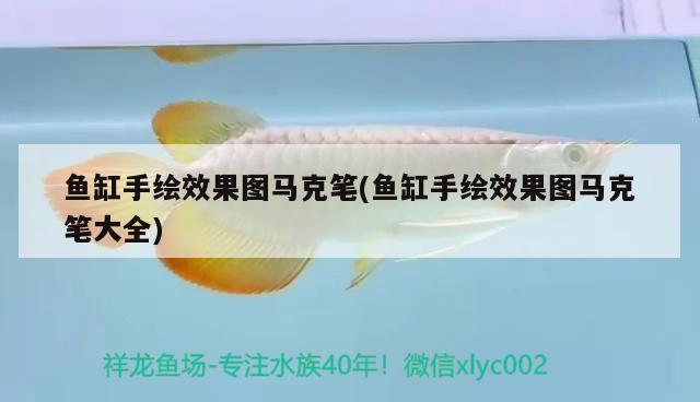 魚缸手繪效果圖馬克筆(魚缸手繪效果圖馬克筆大全)